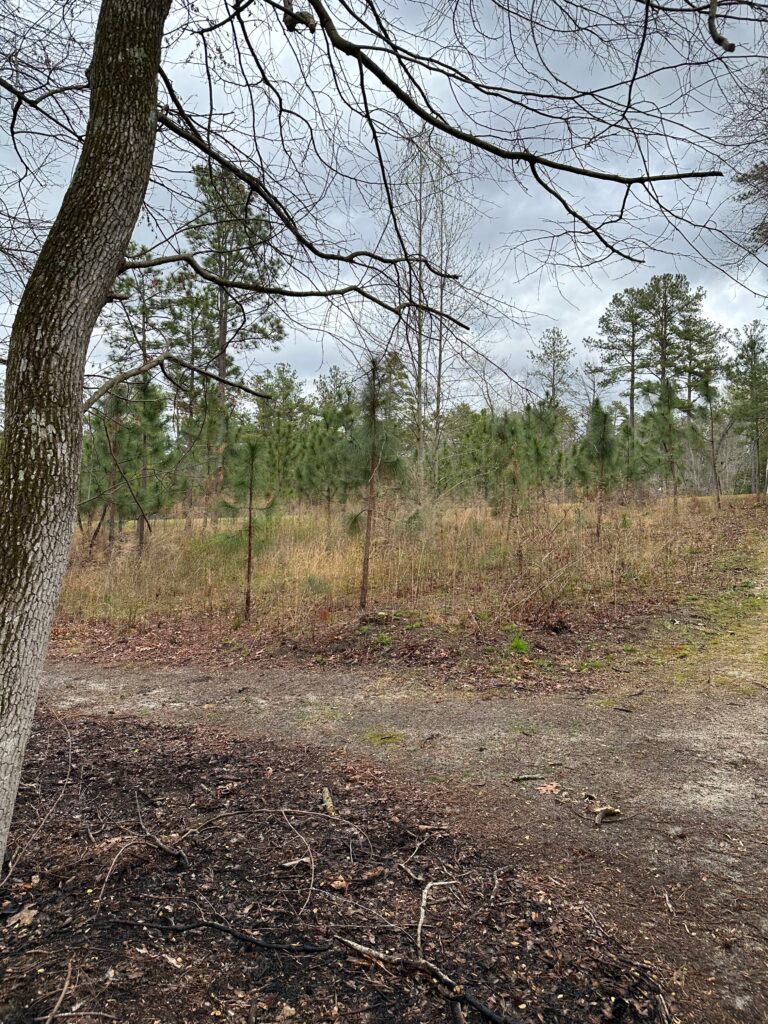 March2023 - 1B