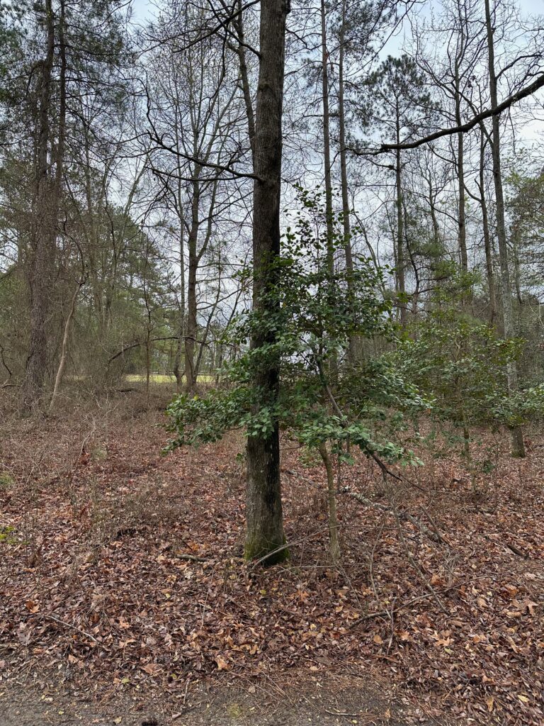 March2023 -1C